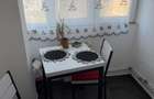 Apartament 1 camera- Nufarul- de inchiriat - 7