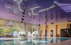 Vila de lux, boutique hotel, pensiune, langa castelul Bran - 4