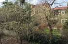 2 camere/ Renovat /Bd.I.Mihalache/Metrou/Luminos - 2