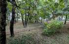 Apartament cu 3 camere decomandat în Dristor - 7