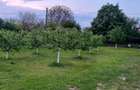 Casă cu 4 camere în Mârțești - 8