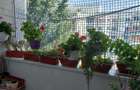 Apartament cu 3 camere decomandat în Sălaj - 14