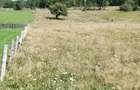 Teren de 2500 mp, în Valea Doftanei - 1
