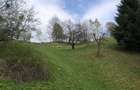 Teren investiție, de 3,879 mp, în Bran - 2
