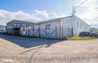 Hala industriala Oligopol comision 0% - 7