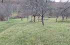 Vand teren intravilan - 3