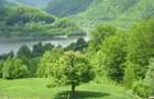 Zona mirifica Teren la munte cu priveliste spre lac si munti Gura Siri - 1