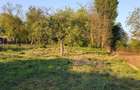 Vand proprietate in Sibot - 3