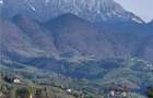 Teren de 6966 mp, în Bran - 11