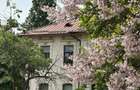 Vila renovata integral cu 750 mp teren Gradina Icoanei - 1