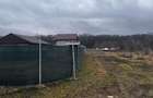 Teren intravilan de 656 mp, în Dumbrăvița - 1