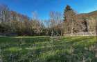 Teren de Vanzare la Valea Doftanei - Zona Peste Vale - 3