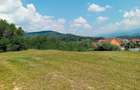 Terenuri de vanzare in Talmaciu, jud. Sibiu, zona rezidentiala Armeni 2, la 16 km de Sibiu - 3