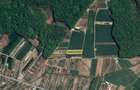 Teren Construcții de 500 mp, în Izvorani - 2