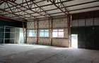 Spațiu comercial, de 192 mp, în Nufărul - 1