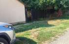 Casă cu 3 camere în 6 Vânători - 5