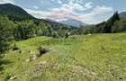 Teren de 8500 mp, în Dălghiu - 9