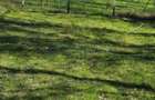Teren intravilan de vanzare in Borod, 2000 mp, Bihor, Gaminvest, V4745