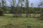 Casa cu teren 2 hectare intravilan - 1