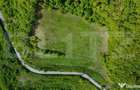 Teren superb, in mijlocul naturii, 18.360 mp, la Carji?i - 4