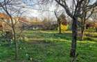 Casa cu teren 1.000 mp in Frumusani, aproape de Bucuresti - 9
