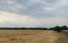 Teren Construcții intravilan de 29200 mp, în Ștefăneștii de Jos - 2