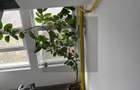 OCAZIE Apartament 2 camere Soseaua Giurgiului / Bloc reabilitat - 1