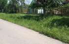 Vand casa cu gradina - 1
