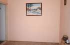 Particular Apartament 2 camere Valea Rosie - 7