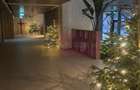 Apartament de Top in Vogh Olimp - 6
