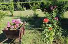 Casă cu 6 camere în Zaharești - 9