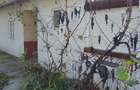 Casă cu 4 camere în Cenad - 3