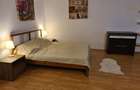 Garsonieră semidecomandată în Vitan - 3