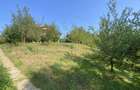 Casă cu 4 camere cu Teren 2068 Mp în Mioveni - 14