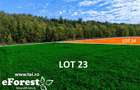 Loturi de la 720 mp, intre 2 paduri, eForest, acces asfaltat din DN1A - 7