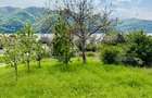 Cabana din lemn, 37 mp, Liubcova - 4