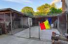 Casă cu 4 camere în Poplaca - 8