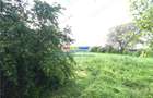Teren intravilan de 2274 mp, în Băicoi - 9