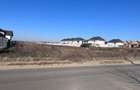 Teren Construcții intravilan de 6459 mp, în Nord - 6