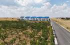 Casă individuală cu 5 camere cu Canalizare în Cumpăna - 16 Casă individuală cu 5 camere cu Canalizare în Cumpăna - 16