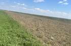 Teren agricol Slobozia Moara 8544 mp acces la drum asfaltat si la 1 km de DN7 - 7