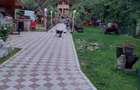 Casa de vanzare:Serel, jud Hunedoara,cu spa?iu comercial ?i iaz de peste. Detalii doar la telefon. - 2