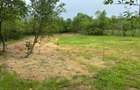 Teren Construcții intravilan de 1050 mp, în Petrovaselo - 4