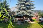 Casă cu 4 camere cu Teren 2890 Mp în Mihăești - 1