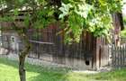 Vand teren intravilan 7410 mp in Sasca Mare, Suceava - 2
