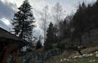 Teren de 6000 mp, în Dâmbovicioara - 10
