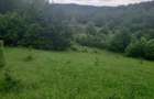Teren de 2200 mp, în Dăești - 5