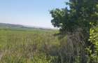 Vand teren intravilan - 1