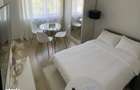 Apartament 1 camera, complet renovat Str. Dambovi?ei, Mara?ti - 1