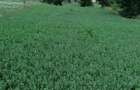 Vand teren intravilan in Dofteana, jude?ul Bacau 2.039 mp, cu dublu acces: DN12 ?i cale ferata - 5